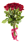 Розы Эквадор